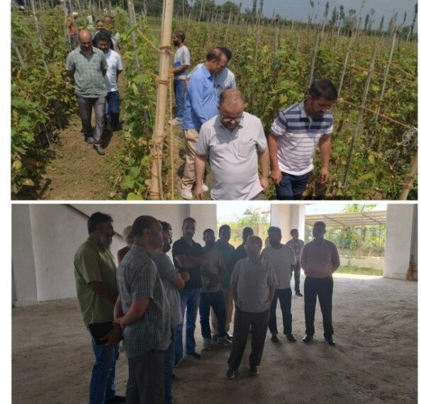 Director Agriculture Kashmir Reviews Modern Farming Activities at Tapper Kreeri