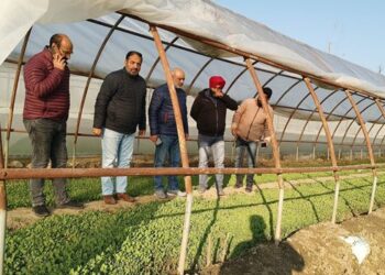 Director Agri(K) reviews preparedness for valley wide vegetable seedling distribution drive
