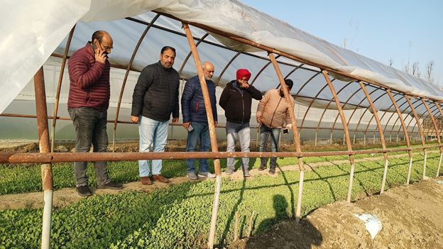 Director Agri(K) reviews preparedness for valley wide vegetable seedling distribution drive