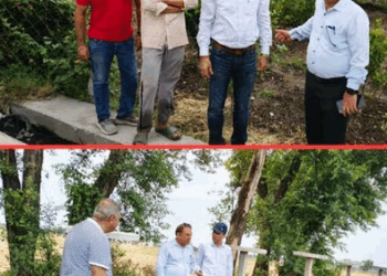 Director Horticulture Jammu visits dragon fruit orchards in RS Pura zone