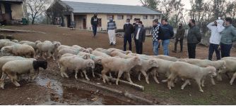Director SH Jammu inspects departmental activities