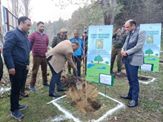 Div Com (K) kick-starts Plantation Drive at Tangmarg