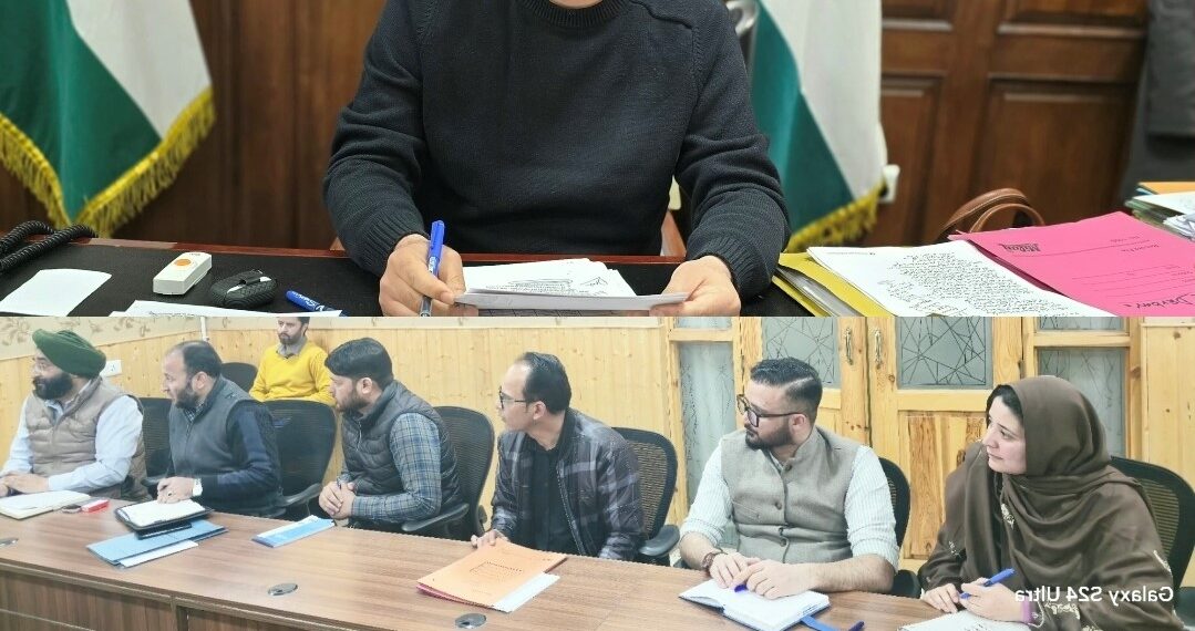 393 Cases Approved by DLIC Ang under Mission YUVA, DDC directs expeditious processing of approved cases
