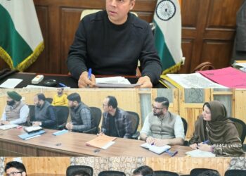 393 Cases Approved by DLIC Ang under Mission YUVA, DDC directs expeditious processing of approved cases