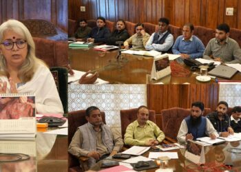 DLIC Approves 317 Cases under Mission YUVA in Bandipora