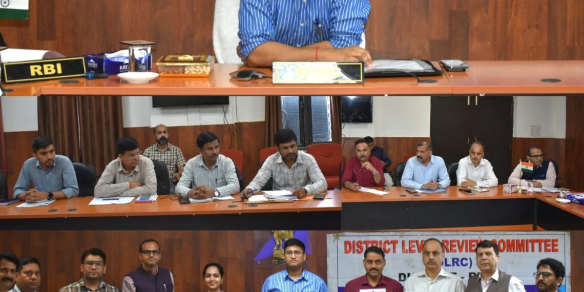 DC Kathua reviews implementation of HADP initiatives