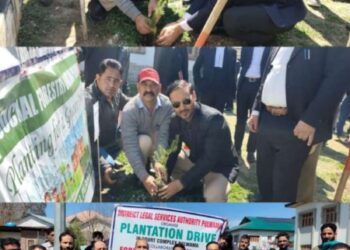 DLSA Pulwama organises Inaugural Plantation Drive