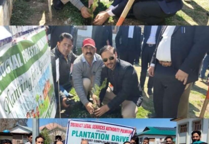 DLSA Pulwama organises Inaugural Plantation Drive