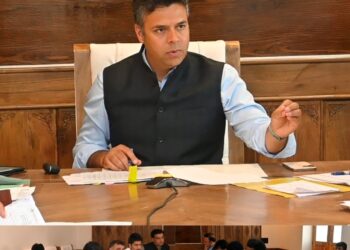 DLTFC approves 31 applications under JKREGP in Anantnag