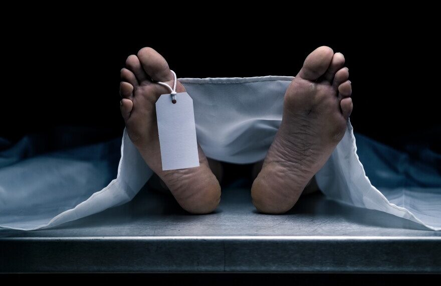 80-Year-Old Woman Dies After Falling From Two-Storey House in South Kashmir