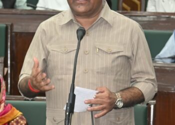 Govt will ensure corrective measures for ethical news dissemination: Dy CM