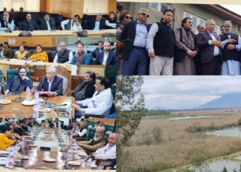 Environment Committee reviews Anchar Lake conservation