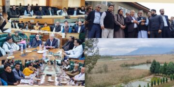 Environment Committee reviews Anchar Lake conservation