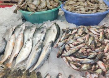 Over 27 Quintals Of Expired Fish, Chicken Seized In Jammu; 3 Cases Registered