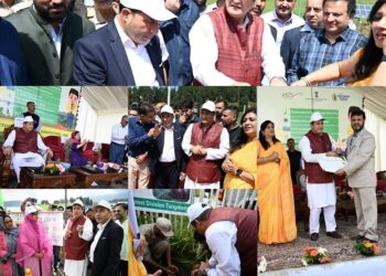 Take active Role In Cleanliness, Environmental Sustainability: Javed Dar Tells People