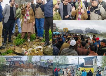 DC B’pora reviews Semi Ring Road works at Sumbal