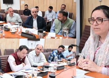 Sustained efforts being made to ensure inclusive, equitable development :Sakeena Itoo