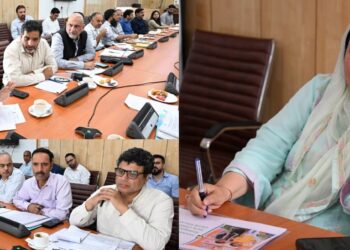 Sakeena Itoo reviews proposed interventions for transforming, strengthening ECCE in J&K