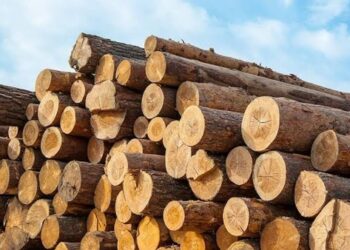 Kathua Forest Team Seizes Produce Vehicles Intercepted For Smuggling
