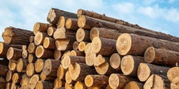 Kathua Forest Team Seizes Produce Vehicles Intercepted For Smuggling