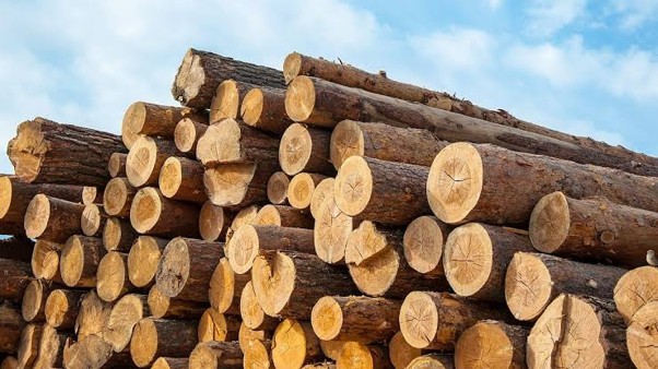 Kathua Forest Team Seizes Produce Vehicles Intercepted For Smuggling