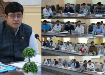 DC Ganderbal chairs DLRC/DCC Meeting for Quarter Ending June 2026