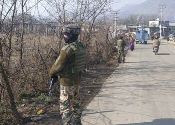8 civilians injured in grenade explosion at Tral
