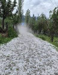 Hailstorm Wreaks Havoc in Kashmir; JKPICCA President Seeks Immediate Relief for Farmers