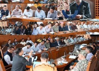 Arrangements for Independence Day celebration reviewed at Shopian