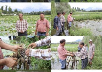 ICAR–NRC Makhana Scientist reviews Aquatic Crop Demonstrations at KVK Bandipora