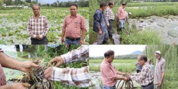 ICAR–NRC Makhana Scientist reviews Aquatic Crop Demonstrations at KVK Bandipora