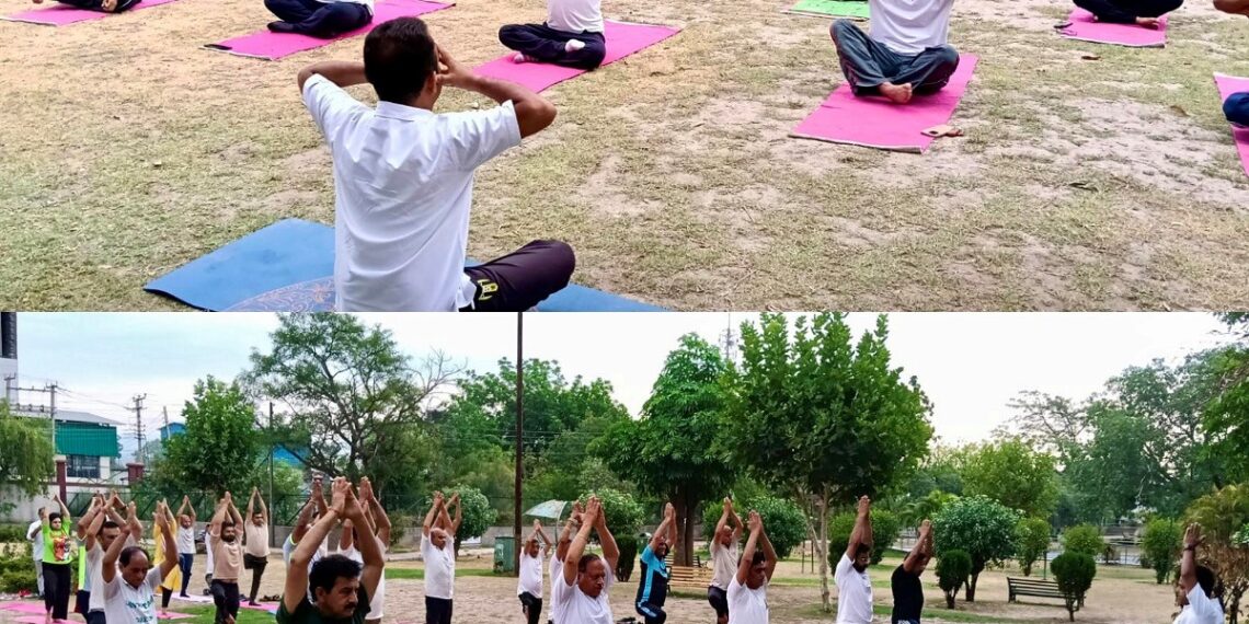 Pre-IDY 2026 yoga session held at Dream Land Park Kathua