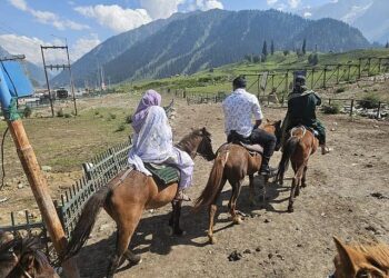 Crackdown in Sonamarg: Pony movement barred from highways, footpaths