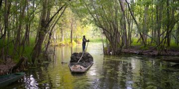 J&K Assembly Committee to inspect Anchar Lake amid concerns over shrinking area, pollution