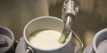 FDA conducts 140 inspections; 55 food samples lifted across J&K