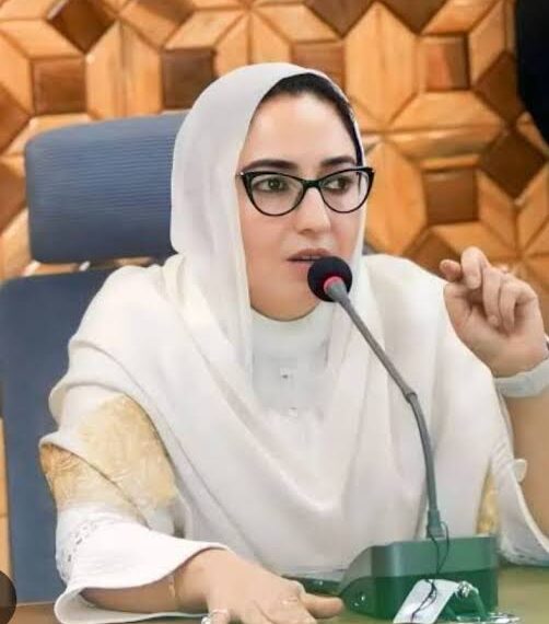 Statehood will return when time comes, alleges NC cheated voters: BJP leader Darakhshan Andrabi