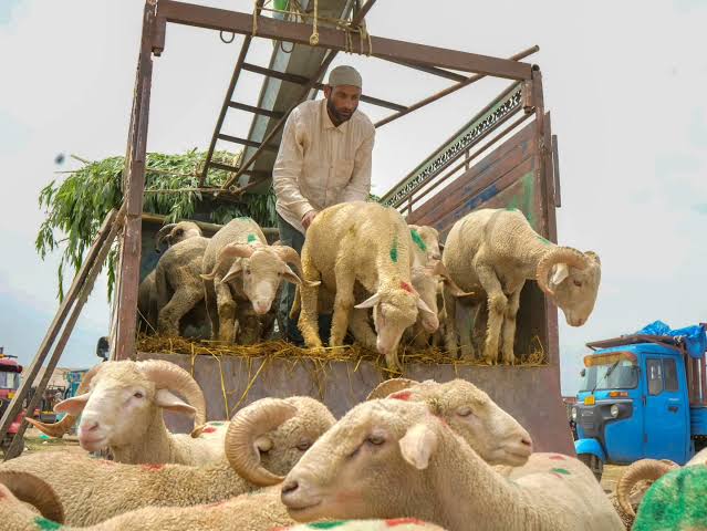 Deadlock over supply of livestock to Kashmir ends as KMDA calls off its strike