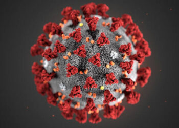 Global Coronavirus death toll 3 times higher than officially reported: WHO