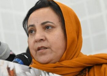 Sakeena Itoo takes stock of hailstorm damage in Kulgam,Shopian districts