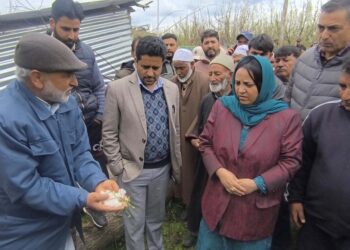Sakeena Itoo visits hailstorm affected villages of Kulgam