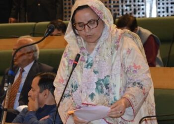 Rajiv Gandhi Hospital Gangyal functioning as a 50-bedded health facility: Sakeena Itoo