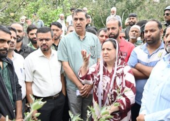 Sakeena Itoo tours hailstorm affected villages of Kulgam