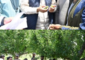Javid Dar tours hailstorm hit Rafiabad, assures relief to affected farmers