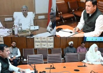 Javid Dar attends virtual meeting with Union Minister on strengthening of Dairy & Animal Husbandry Sector