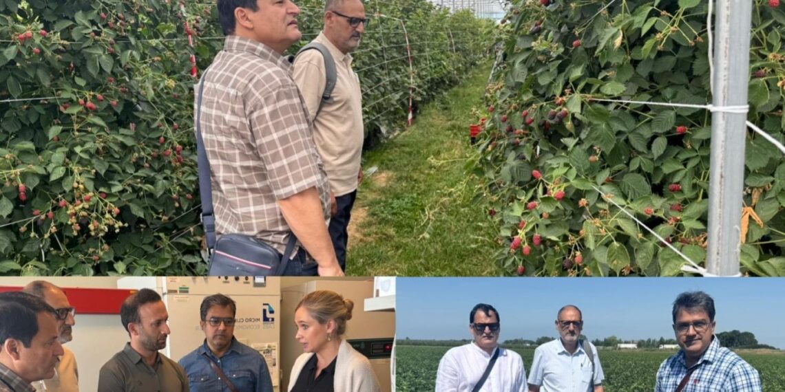 J&K explores global best practices to modernise horticulture sector, enhance farmer income