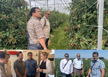 J&K explores global best practices to modernise horticulture sector, enhance farmer income