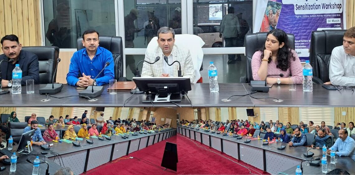 DC presides over Workshop on Gender Targeting & Inclusion Sensitization under JKCIP