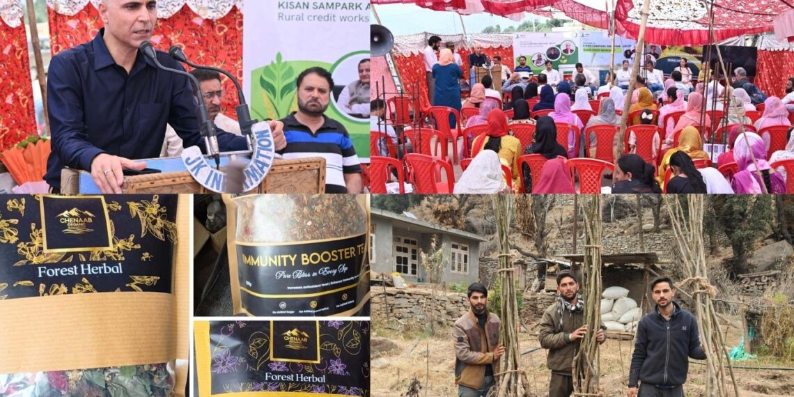 JKCIP-backed FPOs of Kishtwar record strong growth in herbal, horticulture sectors