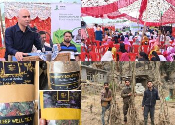 JKCIP-backed FPOs of Kishtwar record strong growth in herbal, horticulture sectors