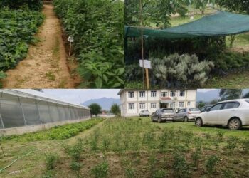 KVK Kupwara Develops Model Farm with Natural Farmingand Integrated Agriculture Units